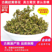 古蔺赶黄草新花250g野生赶黄草花四川古蔺赶黄草源产地值 必买