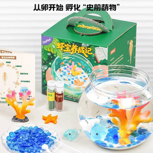 科学小实验套装 虾宝养成记孵化养殖观察小学生玩具生日礼物