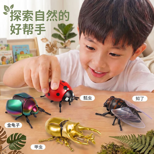 【万人选购】爬行立体甲壳虫仿真