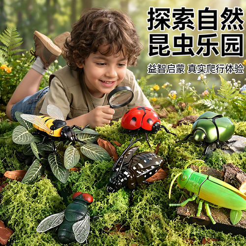 【万人选购】趣味昆虫仿真玩具