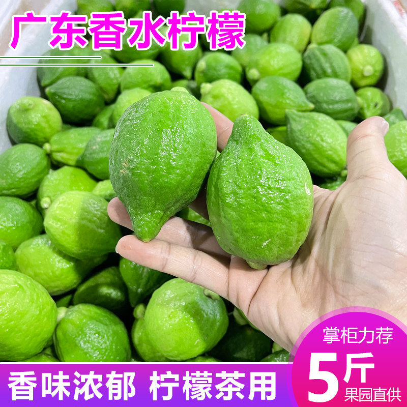 【顺丰包邮】广东香水柠檬奶茶店手打新鲜当季商用水果无籽青柠檬