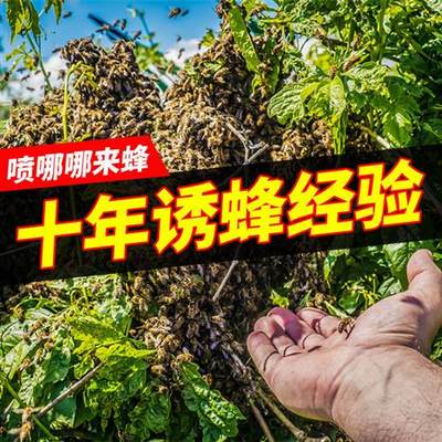 诱蜂水诱蜂液野外蜜蜂招蜂水诱土蜂中蜂蜂王信息引蜂诱蜂专用工具