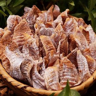 江西干竹笋笋干干货农家自制土特产干笋子春冬笋商用玉兰片嫩笋尖