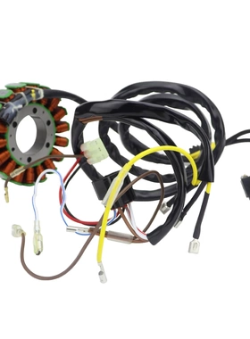 定子线圈 适用Polaris Ranger400  Scrambler 500 3089546 308940