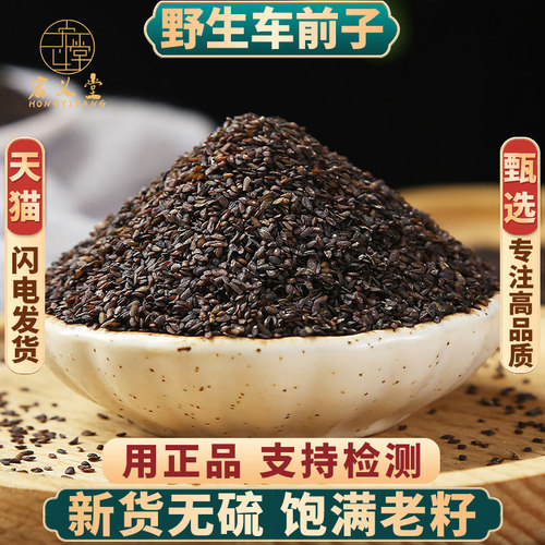 车前子正品新货中药材无硫泡茶