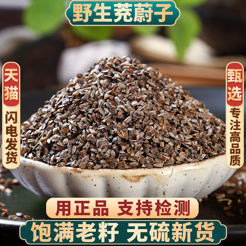 野生茺蔚子中药材500g250g100g益母草种子茺蔚籽茺玉子正品新货