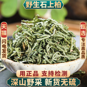 野生石上柏500克250g100g中药材深绿卷柏梭罗草地梭罗薄叶龙鳞草