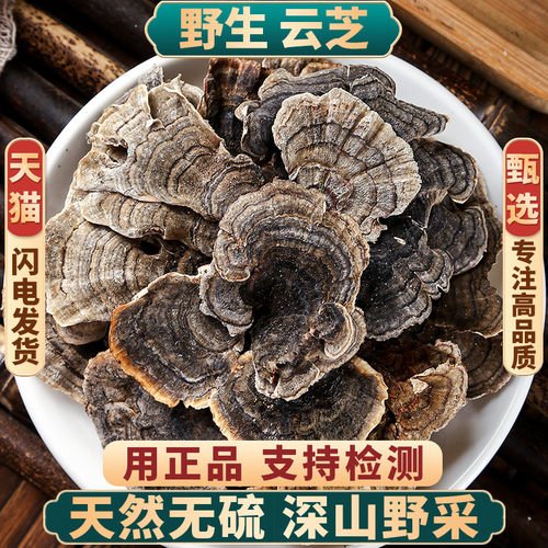 正品云芝中药材新货无硫正宗包邮
