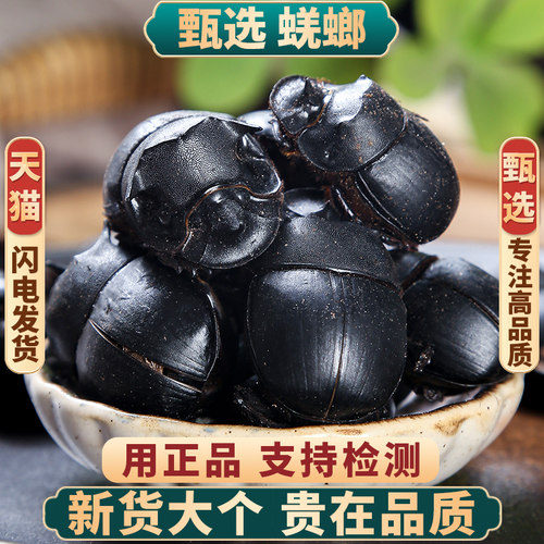 正品蜣螂中药材100克野生屎壳郎
