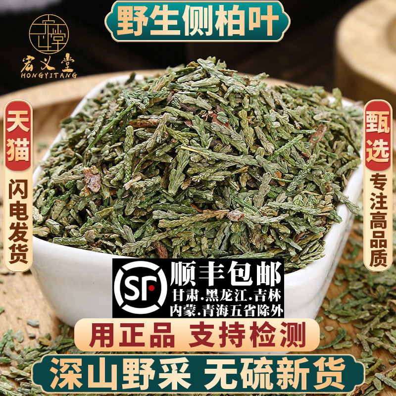 野生侧柏叶中药材新货无硫正品