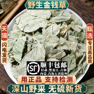 野生金钱草中药材500g250g100g广金钱草中草药大叶金钱草泡水泡茶