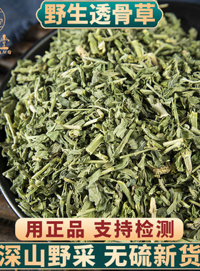野生透骨草中药材500g250g100g透骨草中草药珍珠透骨草粉泡脚正品
