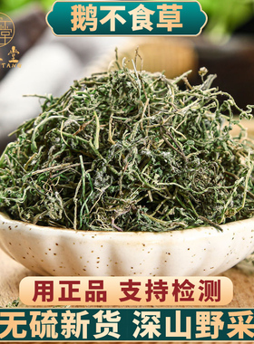 中药材特级野生鹅不食草500克g正品新鲜干货末鹅不食草粉饿不食草