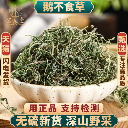 野生鹅不食草正品新货中药材包邮