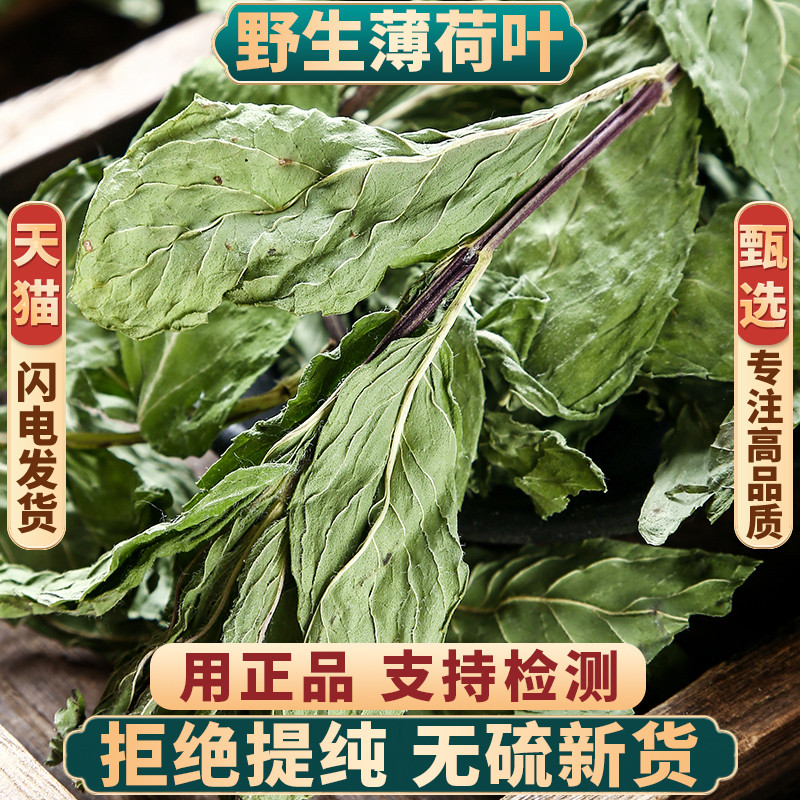 野生薄荷叶正品新货中药材无硫