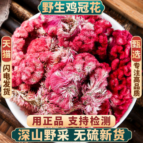野生新货鸡冠花紫红老花中药材