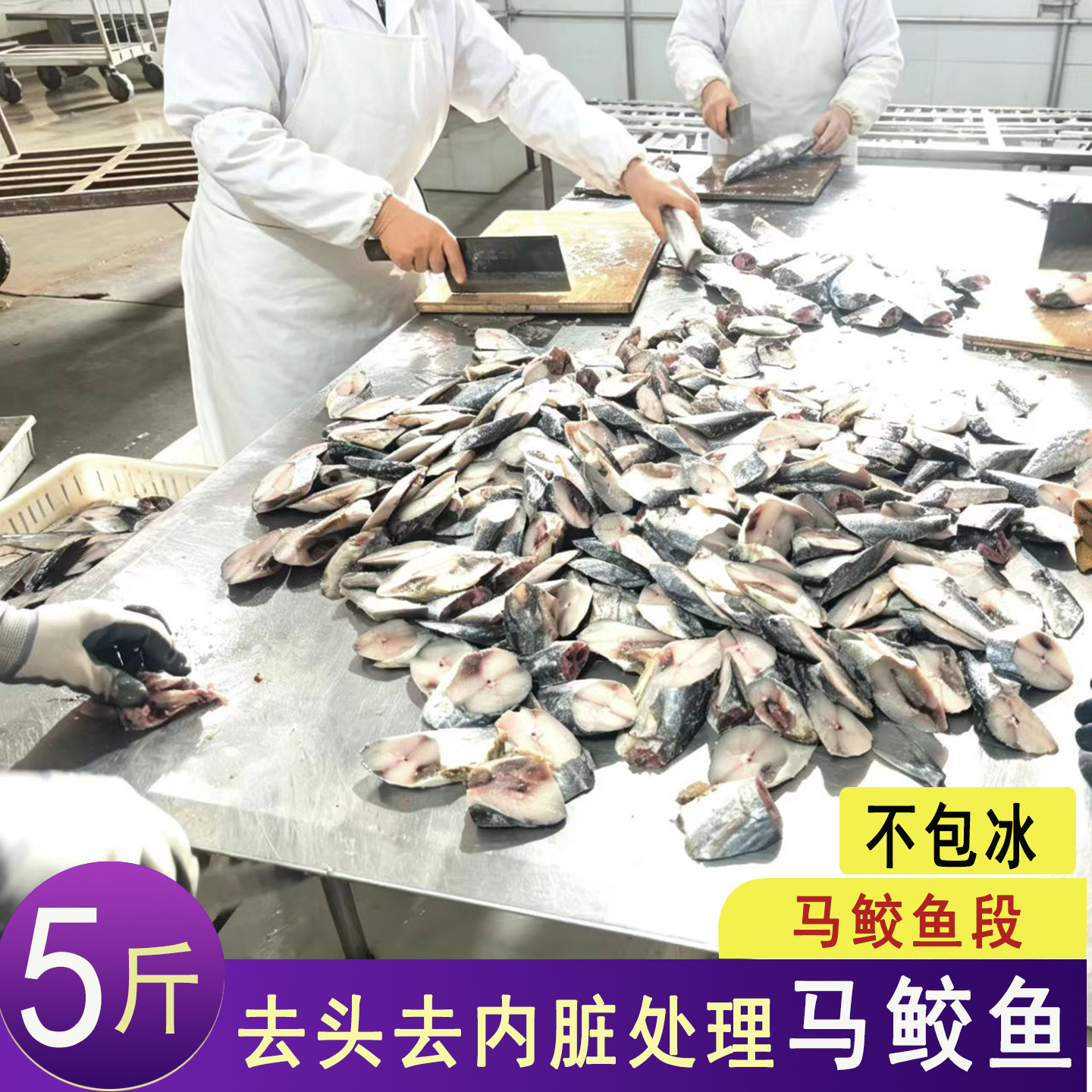 连云港新鲜马鲛鱼段鲅鱼商用深海鱼鱼块5斤装大马鲛鲅鱼块去内脏