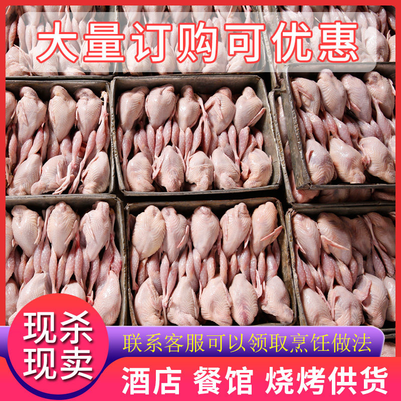 100只装大母鹌鹑新鲜鹌鹑肉速冻白条烧烤生骨肉现杀整箱全国包邮