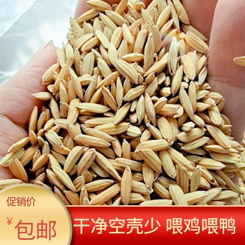 10斤裝水稻谷子帶殼喂雞