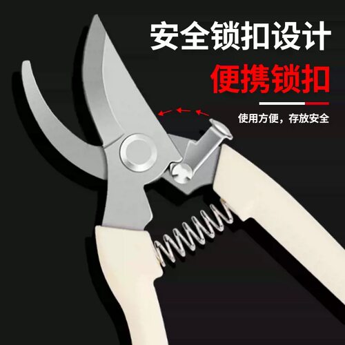 聚禹轩 大物颗粒剪刀 螺蛳修剪 钓鱼剪刀 多功能钓鱼剪刀 不锈钢
