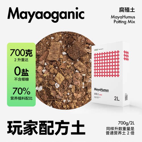 马雅通用营养土腐殖质天南星科
