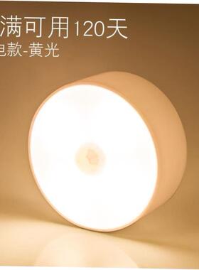 Motion Sensor LED Night Light USB Rechargeable Lamp感应灯