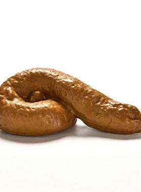 Realistic Shit Gift Funny Toys Fake Poop Piece of Shit Prank