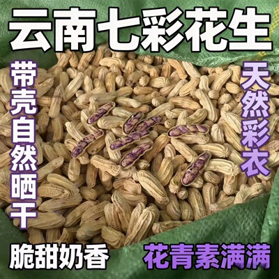 云南七彩花生原味带壳晒干