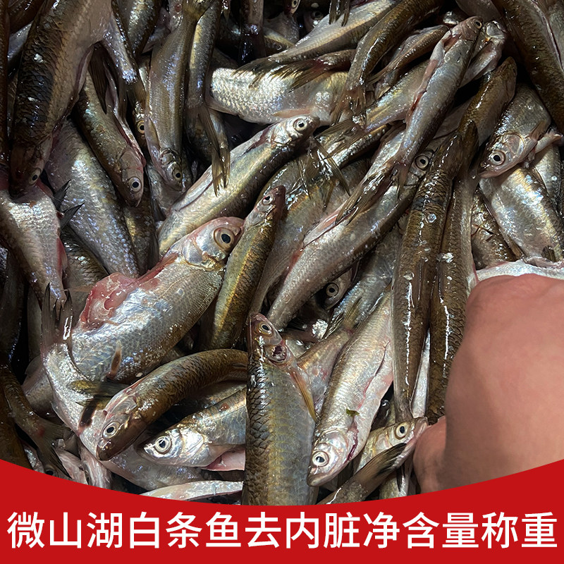 微山湖生态翘嘴鱼大白刁子鱼小白条真空新鲜活鱼现杀淡水翘壳