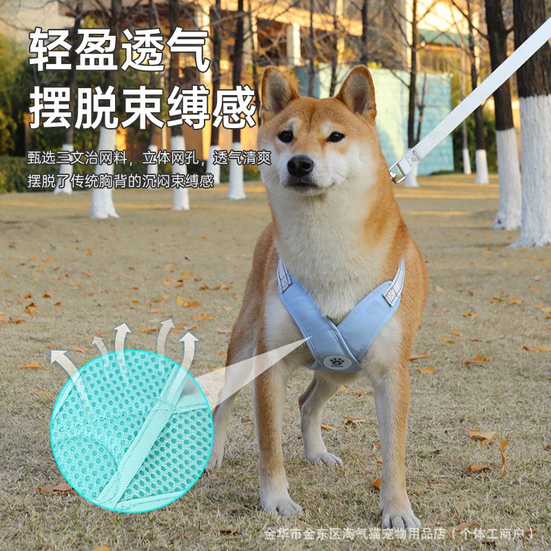 狗狗牵引绳夏季透气狗背