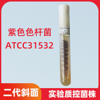 紫色色杆菌ATCC31532二代斜面菌种 实验科研质控菌株 紫色菌株