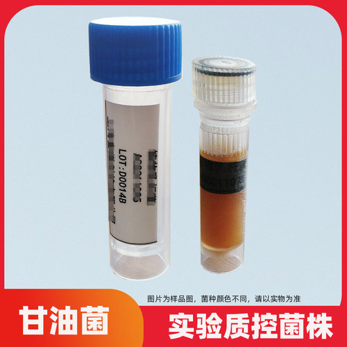 糠秕马拉色菌菌株(糠秕孢子菌)ATCC44344二代甘油标准菌种 培养基