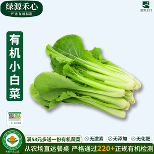 有机小白菜新鲜现摘绿叶小青菜鲜嫩涮火锅清炒炖煮健康无农残蔬菜