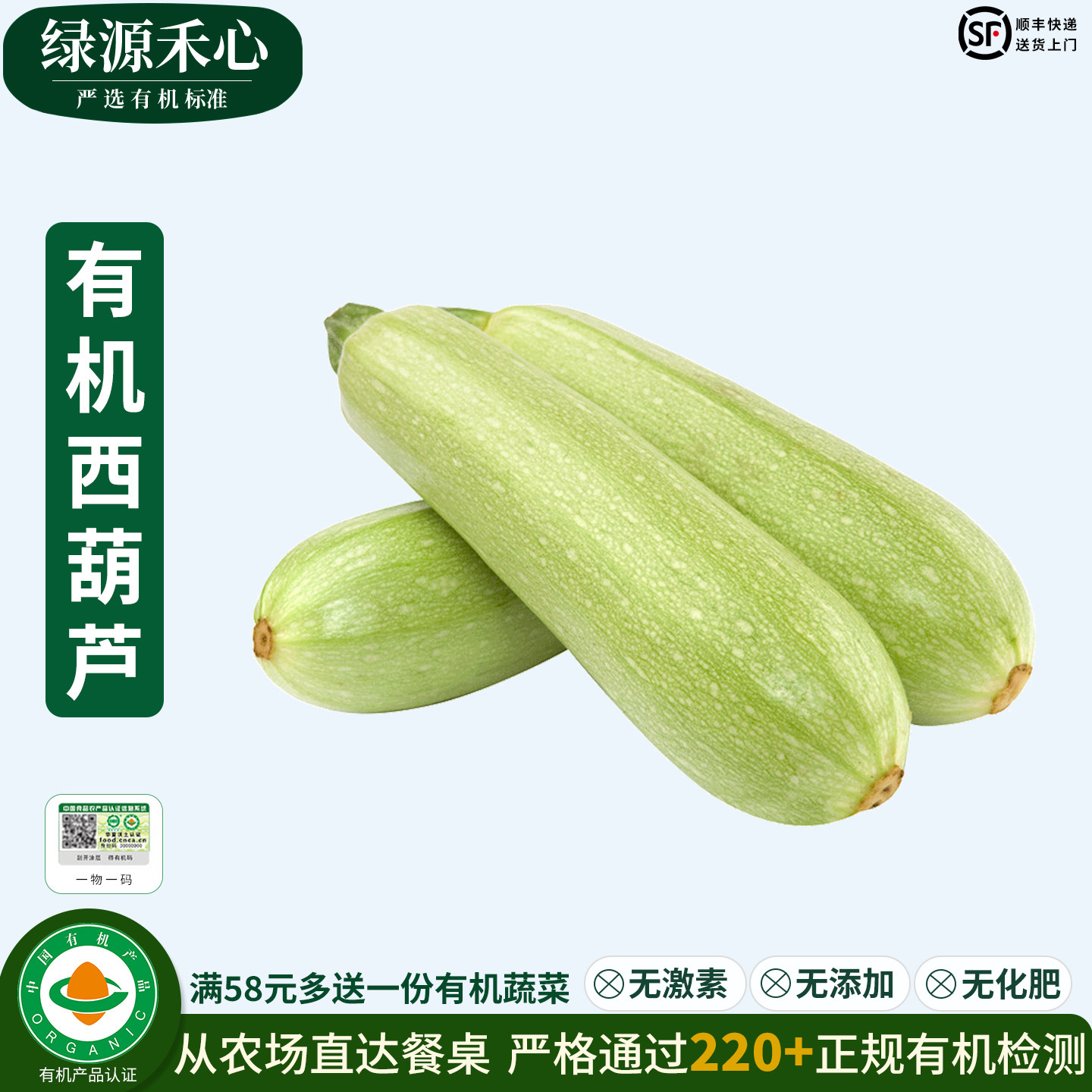 有机西葫芦新鲜采摘嫩茭瓜角瓜白瓜炒菜农场当季菜健康无农残蔬菜