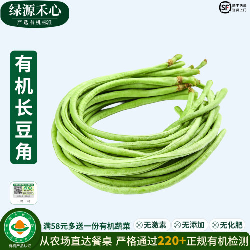 有机长豆角新鲜采摘嫩豇豆无农残