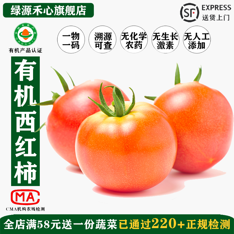 有机西红柿新鲜采摘健康高端蔬菜