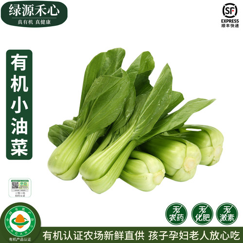 有机小油菜新鲜现摘上海青小青菜