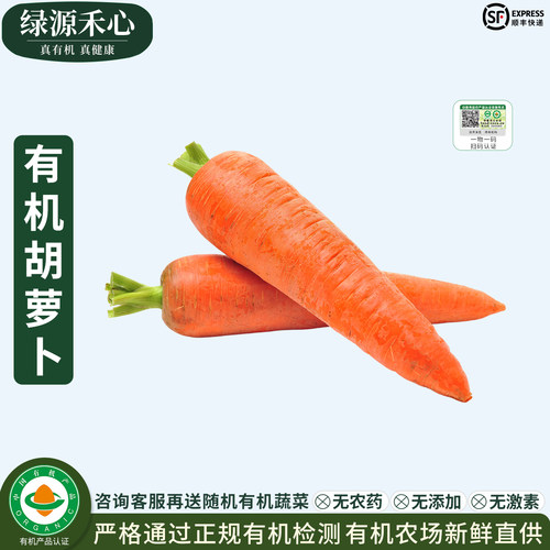 有机胡萝卜新鲜挖去泥水果红萝卜