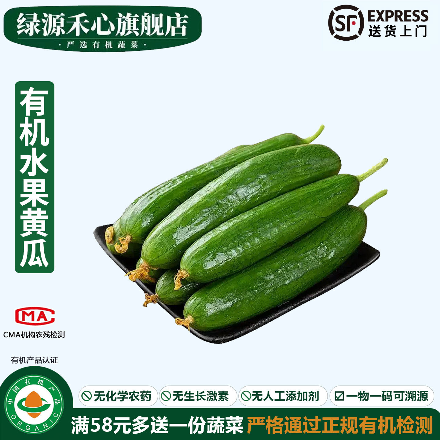 有机水果黄瓜新鲜采摘无刺小青黄瓜脆爽嫩农家时令健康无农残蔬菜