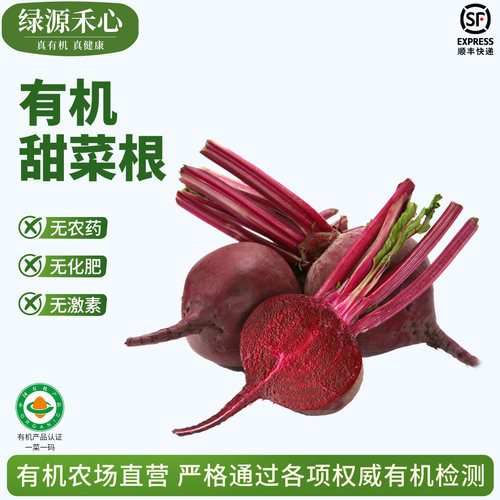 有机认证甜菜根新鲜红菜头甜菜头