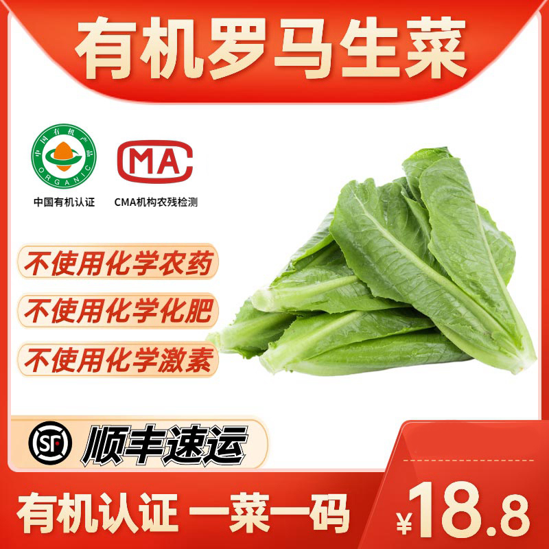 绿源禾心 有机罗马生菜 山东特产新鲜蔬菜生菜 500g 水产肉类/新鲜蔬果/熟食 其它 原图主图