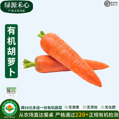 有机胡萝卜农场新鲜挖去泥红萝卜