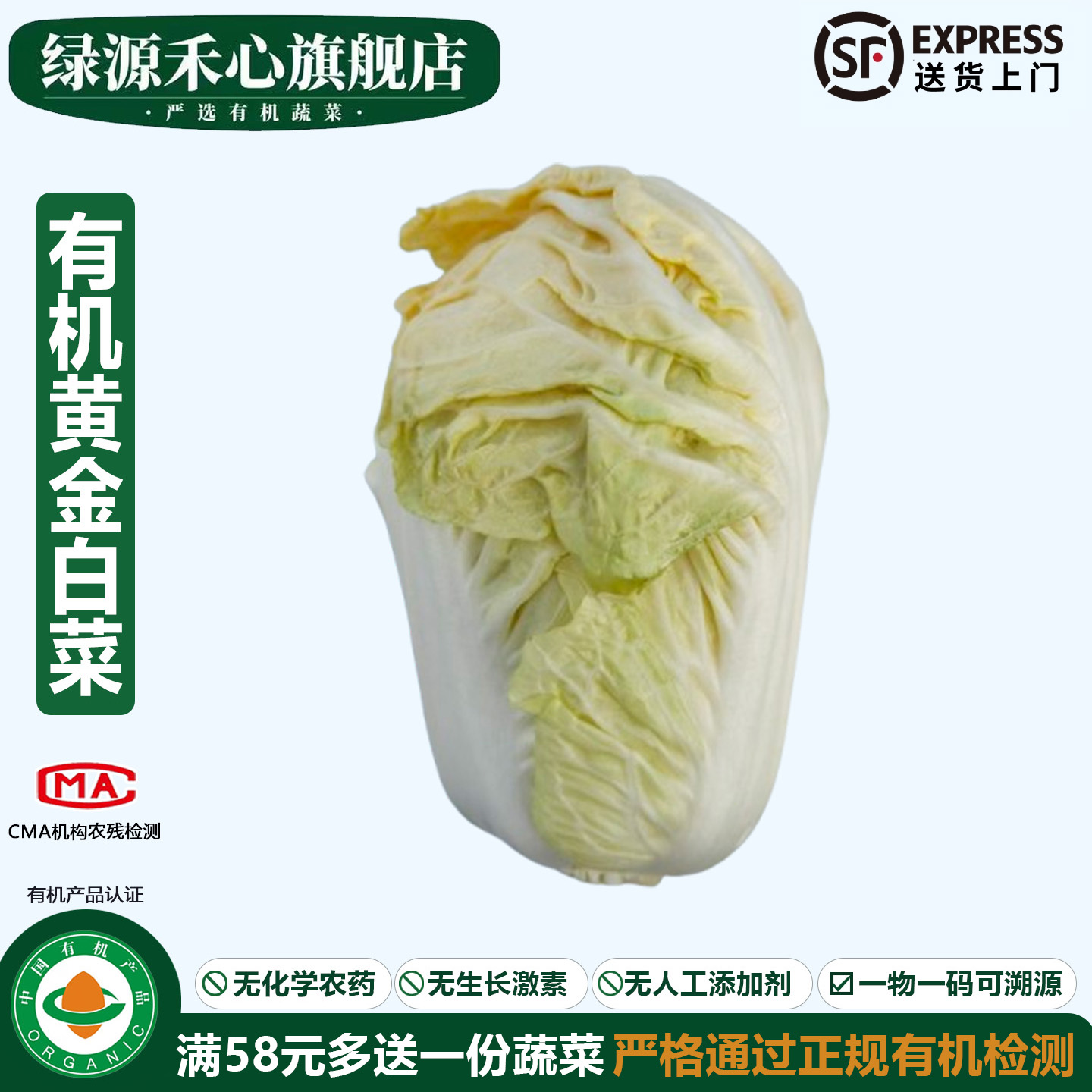 有机黄金白菜当季新鲜健康蔬菜