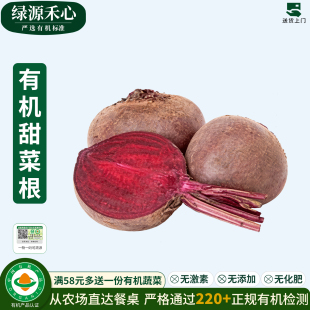 有机甜菜根新鲜农家红甜菜头生吃凉拌榨汁天然食疗健康无农残蔬菜