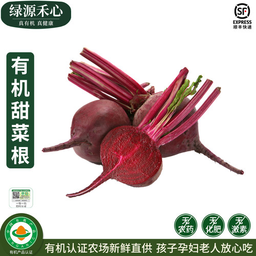 有机甜菜根新鲜现拔红菜头甜菜头