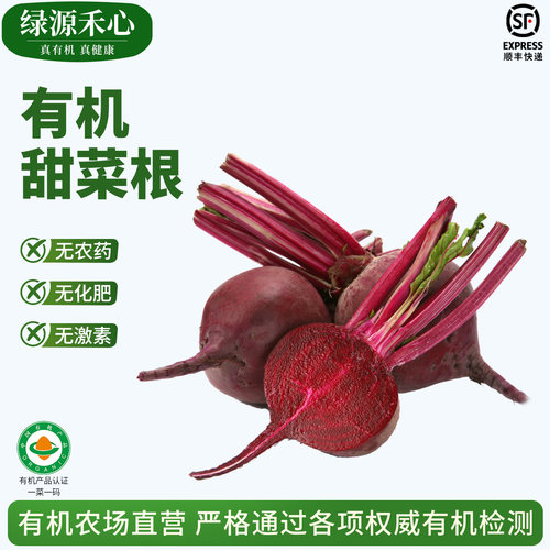 有机认证甜菜根新鲜红菜头甜菜头