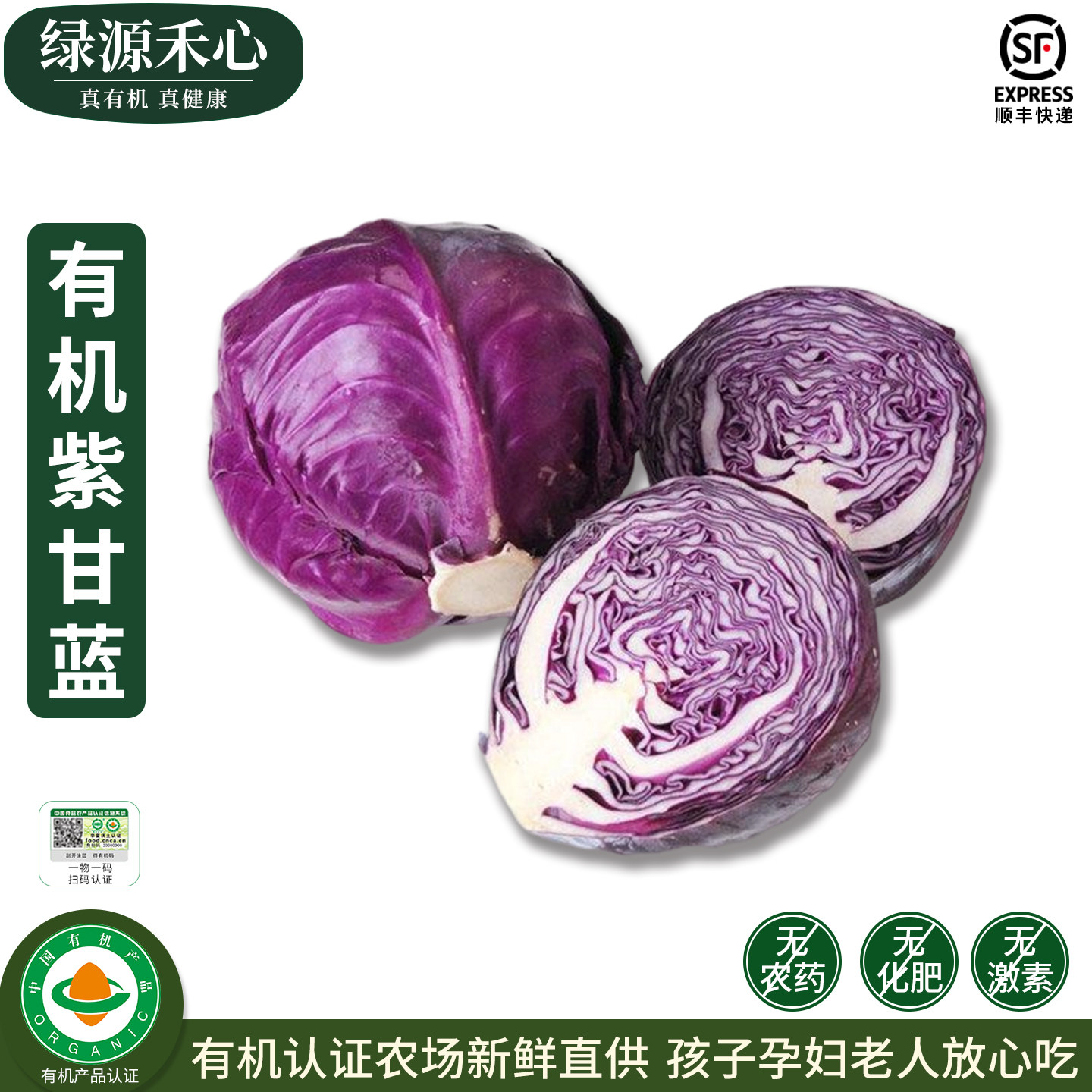 有机紫甘蓝新鲜卷心紫包菜紫色球生菜红椰菜沙拉榨汁西餐健康蔬菜