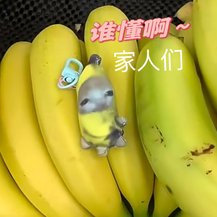 hHappy猫香蕉猫哭唧唧会哭的公仔玩偶挂件哭泣钥匙扣可爱背包挂饰
