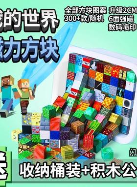 我的世界磁力方块积木磁吸铁石MC迷你男女孩拼装儿童全套玩具礼物