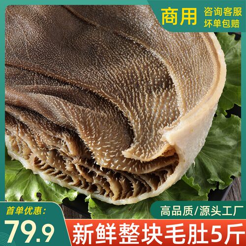 整块新鲜毛肚火锅专用重庆牛百叶大叶冷吃毛肚千层肚火锅商用